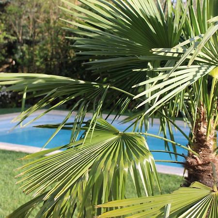 Les Romarins B&B, 10 Min D'Uzes, Piscine Et Grand Jardin, Table D'Hote Ngoại thất bức ảnh